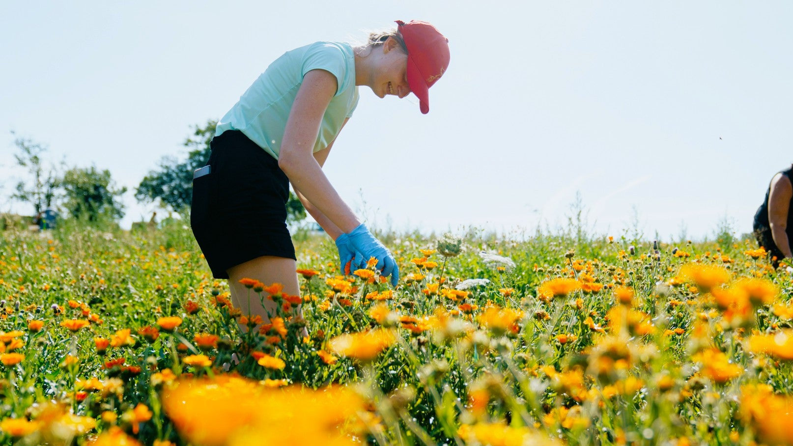 Purity Vision COM
